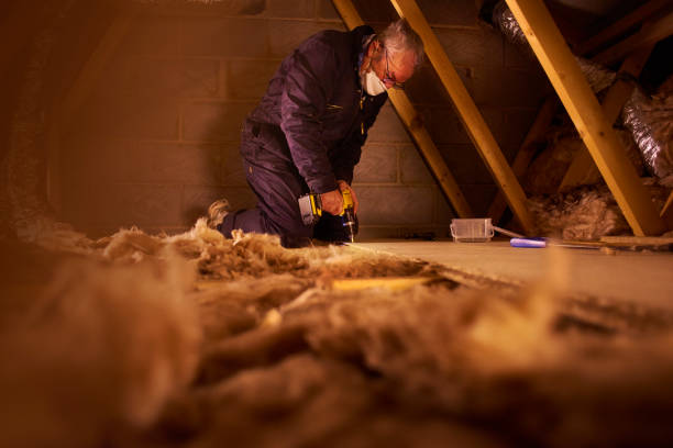 Best Insulation for New Construction  in Biddeford, ME